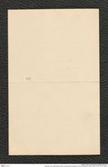 Nachlass Franz Steindachner, Brief von Brancaleone Borgioli an Franz Steindachner (05.02.1901), Inv.Nr. 45.04, Seite 3